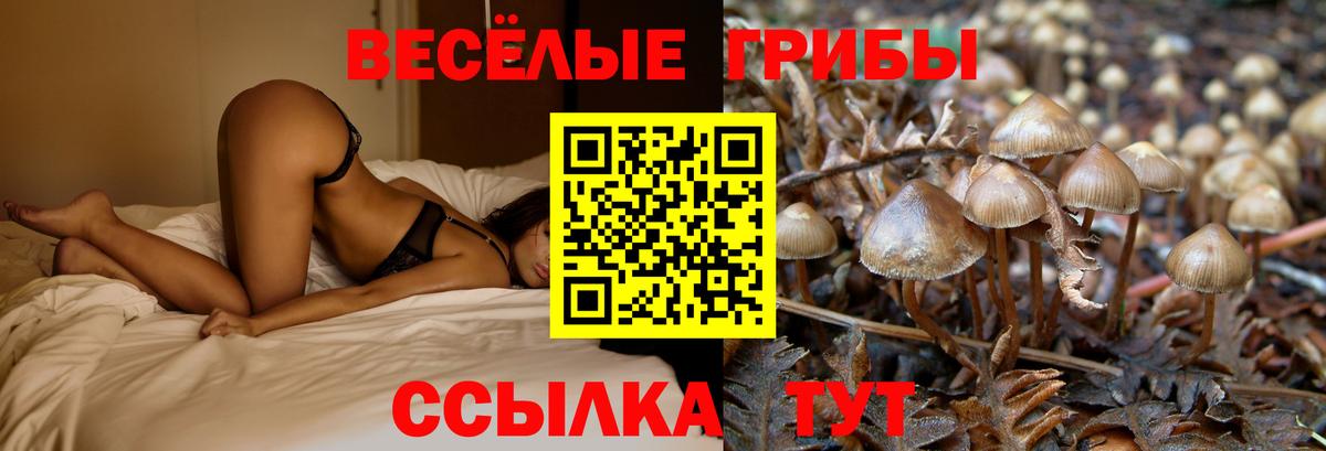 Санкт-Петербург  Псилоцибиновые грибы прущие грибы  Вход с VPN 